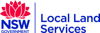 LLS Logo